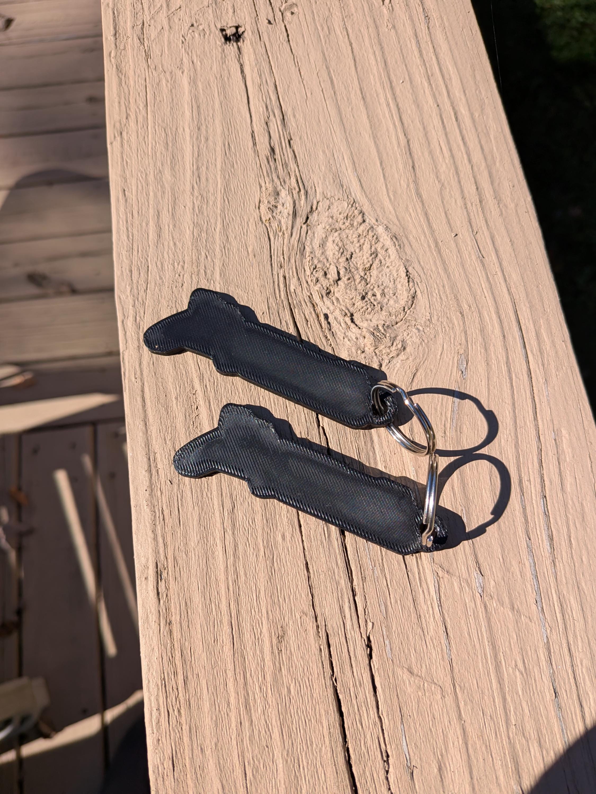 LSA 3D Keychain for CTS-V, Camaro ZL1 Carbon Look (pair)