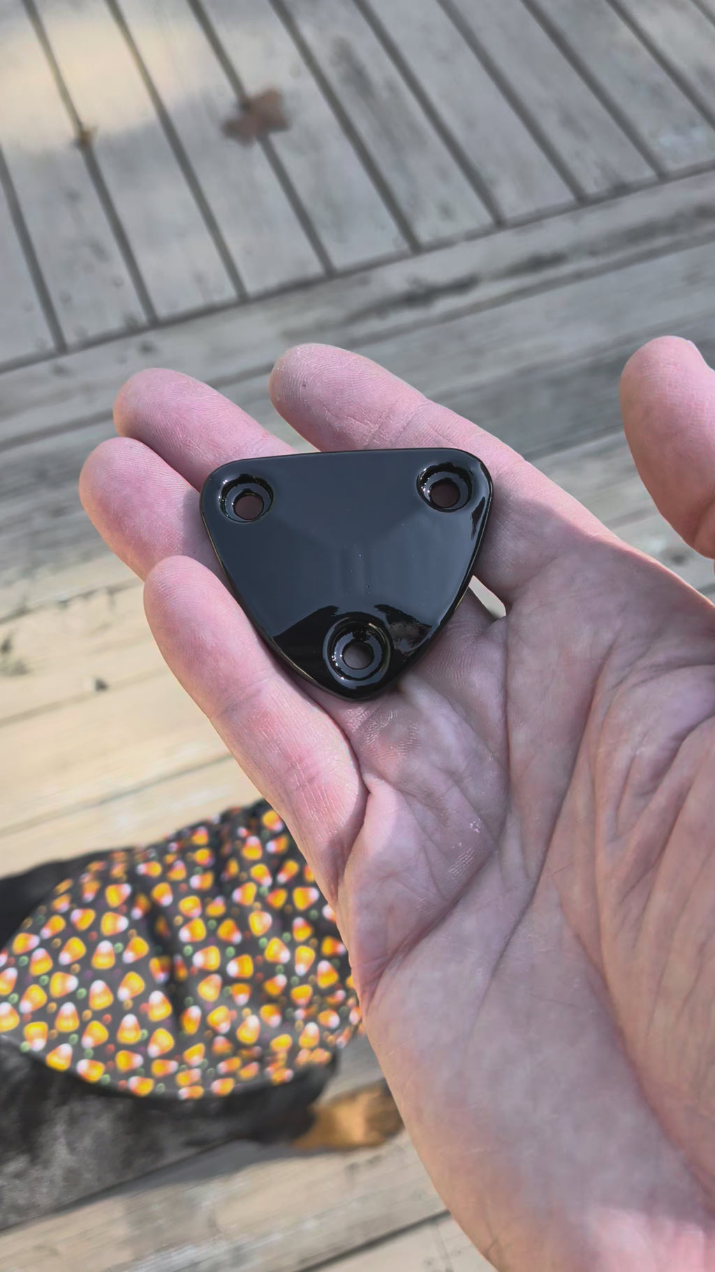 Sunvisor Delete Plates 82-02 Fbody (pair)